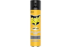 Raid Insetticida Spray Elimina Vespe e Calabroni, per Uso Interno, Azione Rapida per Spruzzo Diretto, 1 Confezione da 400ml