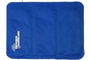 Newgen Medicals Kühlkissen: Kühlende Kissenauflage, 30 x 40 cm, blau (Kühlende Kissen, Kopfkissen, Kühlender Kissenbezug)