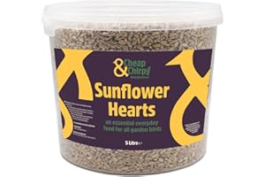 Cheap & Chirpy Wild Bird Sunflower Hearts 5L Tub | Premium Bird Food & Squirrel Feed | No Mess Bird Seed for Garden Birds | Sunflower Seeds for Birds
