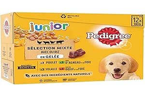 Pedigree Junior Choiction Mixed Jelly Saszetki - Jedzenie dla małych psów - 4 różne smaki - 48 torebek po 100 g