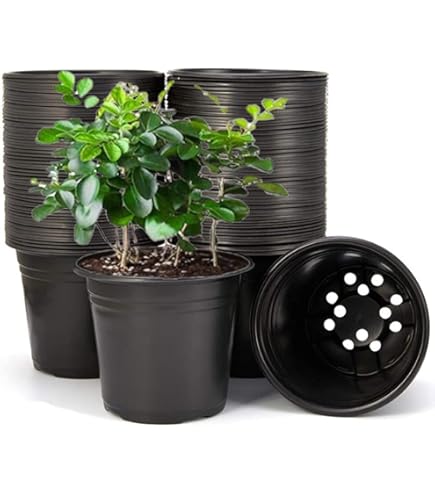 Vaso Portaorchidea Trasparente Stewart Con Sottovaso - ⌀ 13 Cm - Plastica Resistente Con Fori Laterali - 3