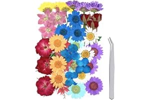 WJIAEER 36PCS flores secas flores prensadas, flores secas naturales, flores secas manualidades DIY flores secas para resina
