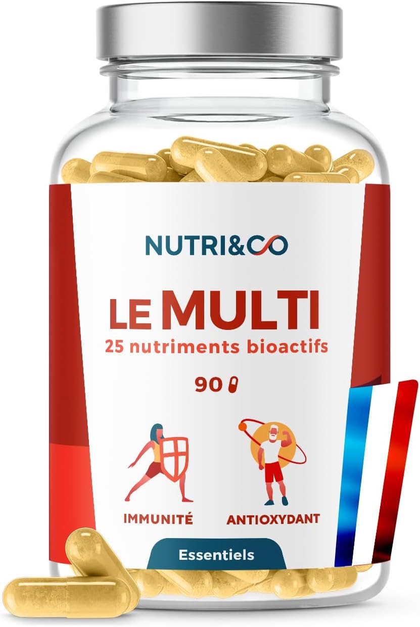 Vue 11
