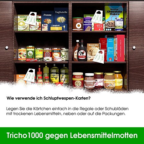 Schlupfwespen gegen Lebensmittelmotten 10 Stück 1000-er Kärtchen 3 Lieferungen - 5