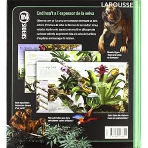 Selves (Larousse - Infantil / Juvenil - Catalán - A Partir De 8 Años)