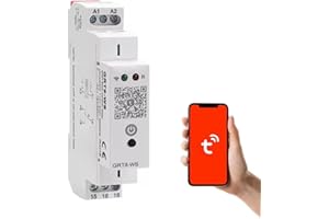 Jadeshay Interruttore Orario WiFi, GRT8-WS Interruttore Temporizzato 220v WiFi Timer WIFI Smart Home con Telecomando Compatibile con TUYA, AC/DC110-240V