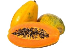 EYSII Pawpaw Graines 10 pcs Papaye Vert Organique Arbre Fruits Graines pour La Maison Jardin En Plein Air Cour Ferme Plantation