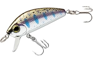 DUEL Yo-Zuri Diver Sinking L ciprinidi 66 millimetri d'acqua dolce Lure F1168 Maestro