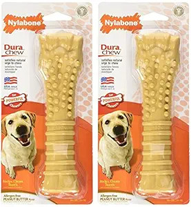 Nylabone Dura Chew Textured Toy (Peanut Butter Flavored Bone - 2 Pack)