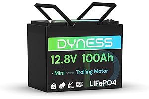 Dyness Batería de Litio 12V 100Ah LiFePO4 Mini Recargable Batería con BMS de 100 A, Protección contra Bajas Temperaturas, Máx 15000 Ciclos, para Motores de Barco, Autocaravanas, Sistemas Solares