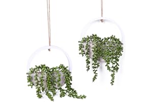JUSTOYOU 2 Piezas Suculentas Artificiales Colgantes Cadena de Perlas Planta Cesta de Lágrimas de Amor Falsas Planta para Interior Exterior Boda Fiesta Hogar Jardín Decoración de Pared