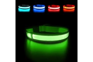 MASBRILL Collar Luminoso Perro Recargable USB/Tipo C, Collar Perro Luz Impermeable y Ajustable con 3 Modos de Luz, Collares LED para Perros Pequeños/Medianos/Grandes, Verde S