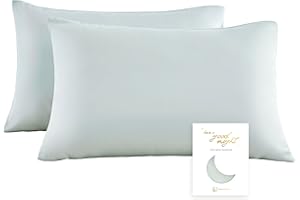 Townssilk Dwustronna poszewka na poduszkę, 100% czysta Tencel, wysokiej jakości, odpowiednia dla zdrowia włosów i skóry, 2-częściowa, 40 x 40 cm, z ukrytym zamkiem błyskawicznym, kolor jasnoszary