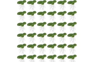KEMUZ 36 Piezas Unidades De Lentejas De Agua Para Estanque, Lentejas De Agua Artificiales, Plantas De Estanque, Mini Estanque, Plantas Decoración De Acuario, Bolas Flotantes Para Mini Estanque