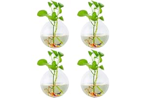 GLASSEAM Jardineras De Vidrio Para Colgar En La Pared 4Pcs Forma Esférica Macetas De Plantas Terrario Contenedor Florero Con 4.24 OZ Piedras Coloridas Interior Al Aire Libre Para El Jardín De La Casa Boda De L