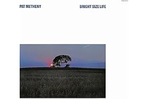 Bright Size Life