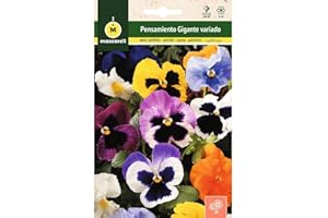 M MASCARELL SEMILLAS DESDE 1920 Mascarell Semillas, PENSAMIENTO GIGANTE VARIADO, Semillas Pensamiento Flores Exterior para Decoración, Plantas de Exterior, Pensamientos Planta Colores Variados, 0,25 Gramos