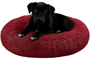 Dorian Home - Cuccia Cane Interno e Cuccia Gatto Tonda, Cuscino Cane Gatto Antiscivolo - Cuscino per Cani e Gatti Lavabile Taglia Grande, Media, Piccola, Lettino Cani Morbido, Letto Peloso a Ciambella