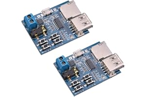 Hailege 2pcs TF Card U Disk Play MP3 Decoder Player Module with Audio Amplifier Audio Decoding Player Module Micro USB 5V Power Supply