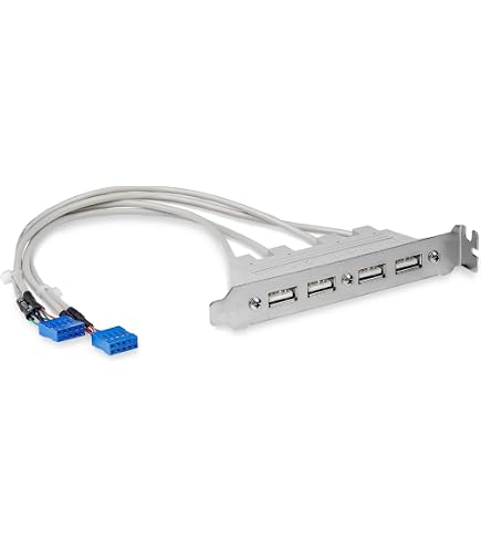Adattatore Piastra Slot USB A Femmina 2 Porte - StarTech, Collegamento Per Schede Madri Con Cavo 28 Cm - 3