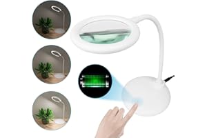 Raweao 5X Lámpara Lupa LED, Lupa con Luz Y Soporte, Recargable Lupa Manos Libres con Regulable Cuello de Ganso para Bordado, Lectura, Coser, Joyería, Modelado (Blanco)