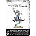 Warhammer Age of Sigmar GAMES WORKSHOP 99070201021" Tzaangor Shaman Action Figure