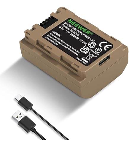 Batterie Leica 900mAh - Type BP-DC13 - Pour Leica T (Typ 701), TL, TL2 - Compatible