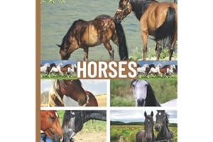 HORSES Toddler Books About Horses: Wordless Picture Books for Toddlers, Preschool, Homeschool, Adults