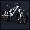 REOTEL Mountain Bikes Men 26 Inch Adult Fat Tyre Mountain Bike with Full Suspension, High-carbon Steel Large Frame Dual Disc Brake Giant Bicycle
