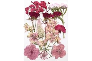 Arcjunys Gepresste Blumen Getrocknete Blumen Trockenblumen zum Basteln Getrocknete Blüten Dried Pressed Flowers für Kunst DIY Harz Scrapbooking Handwerk Karten Machen 16 Stück