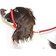 Dog & Field Figure 8 Anti Pull Lead/Halter/Head Collar - One Size Fits All - Soft Braided Nylon - Comfortable, Supple, Secure and Proven to Make Your Walks More Enjoyable - No More Pulling! (Red)