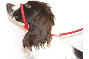 Dog & Field Figure 8 Anti Pull Lead/Halter/Head Collar - One Size Fits All - Soft Braided Nylon - Comfortable, Supple, Secure and Proven to Make Your Walks More Enjoyable - No More Pulling! (Red)