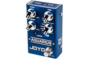 JOYO Digital Delay Effektpedal mit Looper (5 Minuten) R Series 8 Digital Delay Effekte für E-Gitarre (Aquarius R-07)