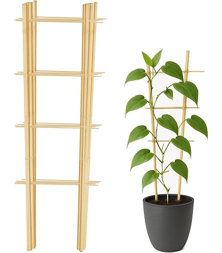 Natrliches Rankgitter Bambus 60 cm hoch, Mininfa Blumengitter, Bambus  Rankhilfe fr Kletterpflanzen, Gemse, Tpfe - 3 Stck : Amazon.de: Garten