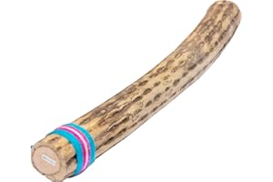 Fuzeau – Bâton De Pluie En Cactus 50 cm – Son Authentique De Pluie – Ambiance Nature – Apprentissage Musique - Instrument Musical - Pour Accompagner Lectures, Contes et Méditations -Réf. 3658