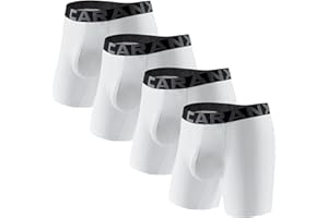 CARANXTEX Mens Underwear Boxer Briefs 4 Pack Moisture Wicking Mesh Boxer Briefs with Fly Breathbale Soft Underwear for Men