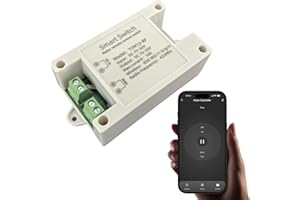 Jane Eyre Tuya Contrôleur intelligent WiFi pour moteurs CC avant/arrière, adapté à la télécommande Smart Life App des actionneurs linéaires 12 V/24 V et des tiges de poussée électriques