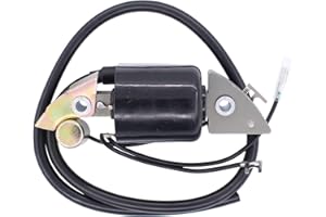 HouYeen Bobine d'allumage pour moteur Hon-da G150 G200 G300 G400 30500-887-303 30560-883-015
