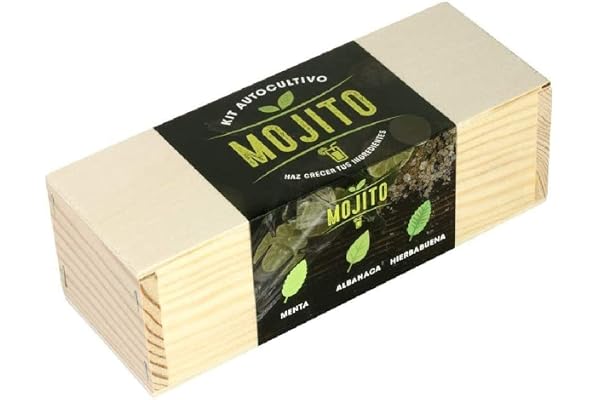 Kit de plantation Mojito (Menthe, basilic et menthe poivrée), Vert