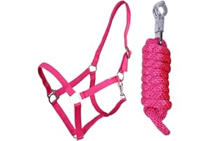 QHP Halfter-Set Beginner II Halfter + Führstrick mit Panikhaken verstellbar (Shetty, Fuchsia)