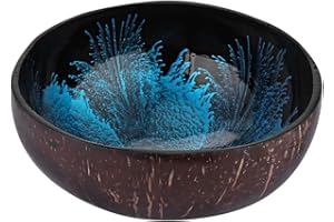 BESTonZON Coconut Bowls Natural Coconut Shell Bowl, Polished Coconut Shell Bowls, Blue Ink Creative Candy coconut Bowl, Storage Bowl Candy Container Nuts Reusable coconut Bowl for Candy Keys (Blue)