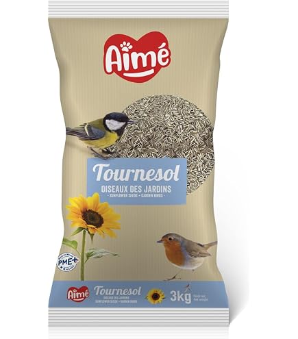 Graines De Statice Pacifique Sanrival - Mélange De Couleurs Pour Bouquets Secs Ou Jardin - Fleurs Résistantes Et Décoratives