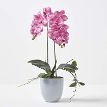 QUI-LO Perennial Gardens – Orchidea Artificiale In Vaso 55,9 Cm, Phalaenopsis Seta Rosa, Fiori Finti Bellissimi Per Casa - 4