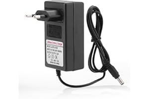 Dpofirs Adaptador de Corriente de Batería de Iones de Litio,AC 100-240V DC 21V 2A Adaptador de Fuente de Alimentación de Carga de Reemplazo,Cargador Adaptador Profesional,Protección Múltiple(EU)