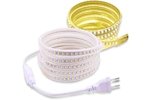 pcning 2M 3M 5M 6M Bande LED Blanc 3000K 4000K 6000K AC 220V Interieur Exterieur IP67 Etanche SMD 5730 120led / m Ruban LED pas besoin de Transformateur (Blanc, 3)