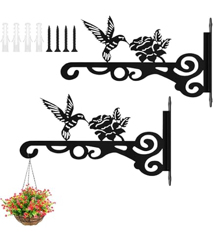 Gancio per piante, 2 ganci da parete in ferro, 25 cm, per uccelli, per appendere piante, uccelli, lanterna a vento, decorazione da giardino, balcone (2, nero