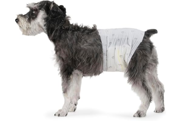 Amazon Basics Pañales Desechables para Perros Macho, M, Paquete de 50, Color Blanco