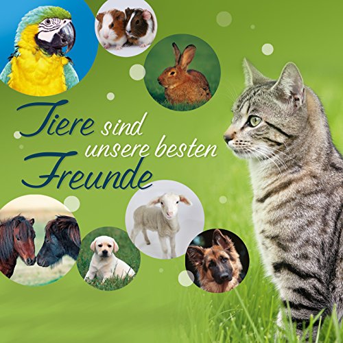Mein Dackel Waldemar Text Und Noten LIED: Dackel Waldemar
