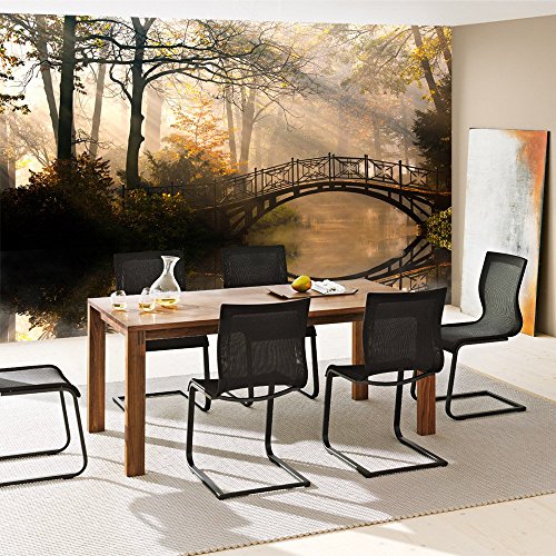 Fototapete Wald – ALLE WALDMOTIVE auf einen Blick ! Vlies PREMIUM PLUS – 350×245 cm – ROMANTIC BRIDGE – Wald Wasser Bäume – no. 264 - 7
