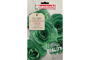 Bavicchi buste semi orto plus (Cicoria a grumolo verde)